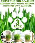 Indoor Cat Grass Kit 3 Pack with eco-friendly biodegradable pots and wheatgrass, grows in 3 to 7 days, shown in three views.