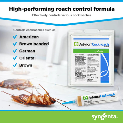 Premium German Cockroach Exterminator Brown Gel Bait Syringe Kit Featuring Four Precision Plungers For Bad Bug Banishment And Effective No Sweat Cleanup, with roaches and gel bait