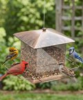 Built Tough Outdoor Hanging Bird Feeder With Waterproof Metal Build, Large 3.5Lb Capacity in garden with birds using feeder