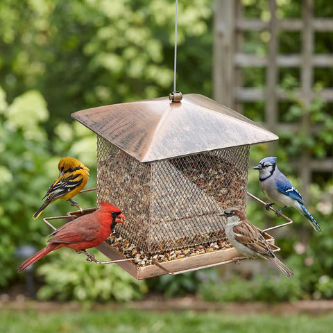 Built Tough Outdoor Hanging Bird Feeder With Waterproof Metal Build, Large 3.5Lb Capacity in garden with birds using feeder