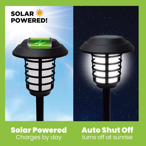 Color Changing Solar Pathway Lights Outdoor IP67 Waterproof Solar Powered Garden Lights For Walkways Yard Backyard Lawn Or Landscape 4 Pack With Auto Color Cycling And Energy Saving LED showing day and night mode