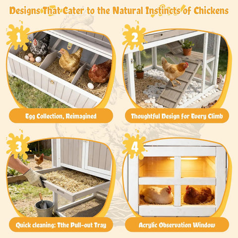 Large Chicken Coop With Four Nesting Boxes for Four to Six Hens showing features like egg collection, pull-out tray