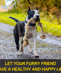 Dog playing with Indestructible Rope Toy For Heavy Chewers, 3 Feet Long With 5 Knots, Tough Cotton Tug Of War Chew Toy