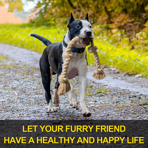Dog playing with Indestructible Rope Toy For Heavy Chewers, 3 Feet Long With 5 Knots, Tough Cotton Tug Of War Chew Toy