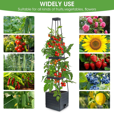 Two Pack Raised Garden Bed Planter Box With Trellis For Climbing Vegetables And Tomatoes 58 Inch Tomato Cage in use with plants