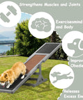 71 Inch Outdoor Dog Agility Seesaw for Training and Exercise with corgi on wooden platform in sunny backyard