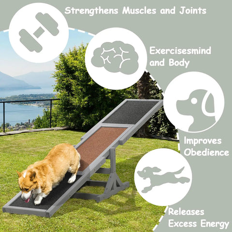 71 Inch Outdoor Dog Agility Seesaw for Training and Exercise with corgi on wooden platform in sunny backyard