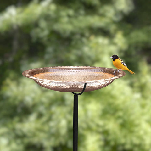 Copper Bird Bath With Garden Pole 18 Inch Diameter Basin Polished Copper Finish Rustproof Outdoor Bird Bath with bird