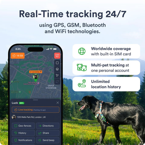 Dope Dog Gps Tracker With Real Time 4G Lte Location Tracking And Smart Geofence Alerts displayed on smartphone showing map.