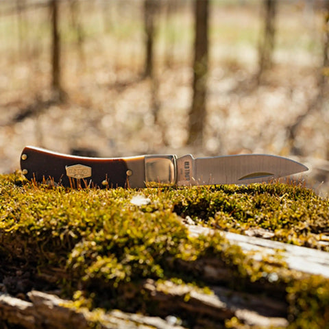 Bearhead Lockback Pocket Knife With A 2.2 Inch High Carbon Stainless Steel Blade on mossy log in a forest
