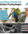 4 In 1 Cordless Pole Saw And Precision Pruner Combo 16 Foot Telescopic Reach Dual Power Package 8 Inch Guide Bar Heavy Duty Yard Trimmer in use for efficient pruning.
