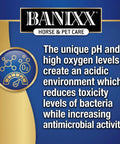 All-In-One Horse And Pet Grooming Spray For Horses, Dogs And Cats Daily Skin, Coat, And Hoof Care Alcohol-Free Non-Staining No Odor Made In USA 8 oz product label with antimicrobial activity details and Banixx logo.