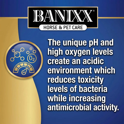 All-In-One Horse And Pet Grooming Spray For Horses, Dogs And Cats Daily Skin, Coat, And Hoof Care Alcohol-Free Non-Staining No Odor Made In USA 8 oz product label with antimicrobial activity details and Banixx logo.
