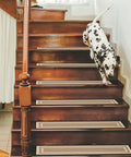 Dog walking on wooden stairs with beige 15 Pack Non Slip Stair Treads 8x30 Inches For Indoor Wooden Stairs Beige Reusable Machine Washable Carpet