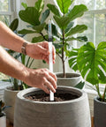 Dual Pack 14 Inch Floating Water Level Indicator For Plants With Buoy Moisture Meter Gauge To Track Real Time Hydration For Indoor Outdoor Planters And Flower Pots Preventing Soil Shortage And Overwatering installed in a large indoor planter