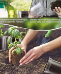 Using Clear Nursery Pots Set In 5 Inch 4 Inch And 3.5 Inch Sizes With Drainage Holes For Easy Transplanting Seedlings Cuttings And Succulents