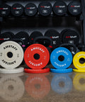 Fractional Weight Plates Set for Incremental Gains on Standard 2 Inch Olympic Bars, 10 Lb Pair, Smooth Fit on gym floor