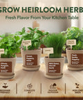 Indoor Herb Garden Starter Kit For Beginners Grow Four Heirloom Herbs On Your Kitchen Window With No Fuss Setup Easy DIY Gift