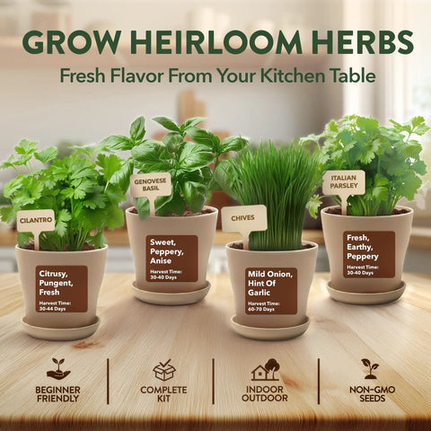Indoor Herb Garden Starter Kit For Beginners Grow Four Heirloom Herbs On Your Kitchen Window With No Fuss Setup Easy DIY Gift