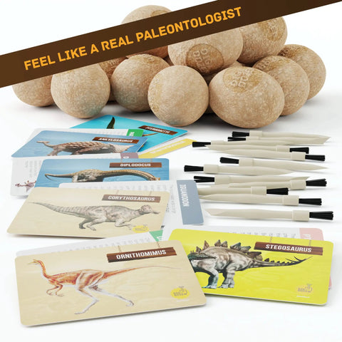 Dig Up 12 Dino Eggs And Uncover 12 Unique Dinosaur Models With A Totally Hands On Dino Dig Kit set with eggs, guides, chisels.
