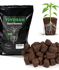Seed Rooter Plugs For Seedlings And Cuttings, 40 Cube Pack with packaging, plugs, and germinated plant with roots visible