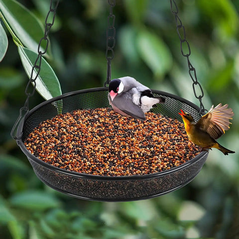 Large Capacity Hanging Bird Feeder For Garden And Yard Outdoors With Metal Mesh Platform And Fine Mesh Tray Holds Up To 3 Lb Of Seeds Easy Refill No Mess Attracts More Birds And Keeps Feeding Fresh, metal mesh tray with birds