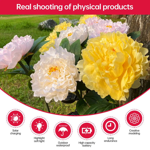 Outdoor Solar Garden Lights Set Featuring Realistic Peony Flower Heads Waterproof Design Bigger Solar Panel And 3 Pack