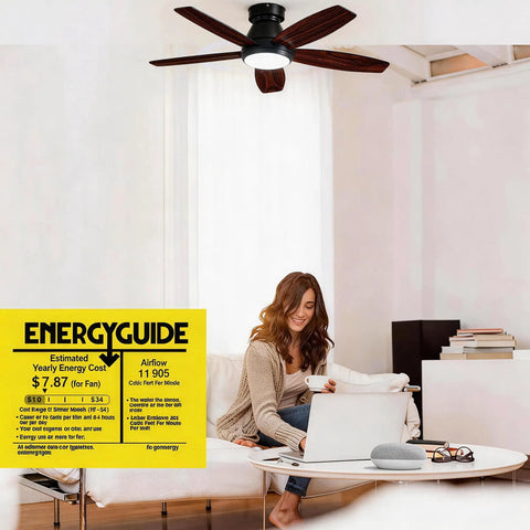 42 Inch Ceiling Fan With Lights And Remote Control For Indoor And Outdoor Use in living room with EnergyGuide label