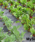 Heavy Duty 12 Inch Garden Stakes Pins Pro Grade 11 Gauge Galvanized Steel Landscape Staples anchoring weed barrier fabric