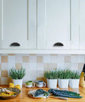 Kitchen cabinets with Matte Black Cabinet Cup Pulls Two And A Half Inch Center To Center Pack Of 10 Durable Metal Drawer Handles installed