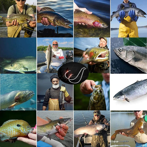 Collage of fishermen holding their catches, showcasing various fish species on a clear day, diverse catches by anglers in different settings.