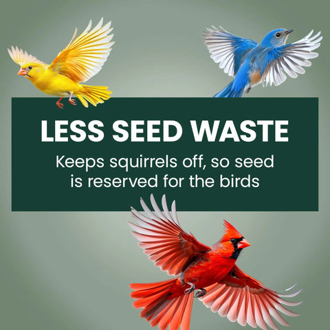 Colorful birds flying around text promoting weight activated squirrel proof bird feeder with two pound seed capacity.