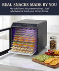 Amp Up Your Snack Game With This Solid 10 Tray Stainless Steel Digital Food Dehydrator showcasing dried fruit slices.