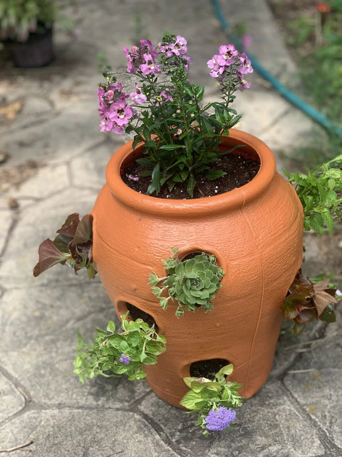 Strawberry Jar Planter With Twelve Side Openings For Herbs Flowers And Succulents Durable Lightweight Terra Cotta Colored Plastic Garden Container For Patio Balcony Backyard Deck Outdoor Or Indoor Use with purple flowers and succulents