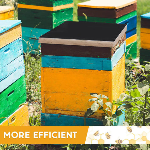 Colorful beehives with a Solar Fume Board For Beehives, Universal 8 Frame And 10 Frame Inner Cover With Metal Top in a garden.