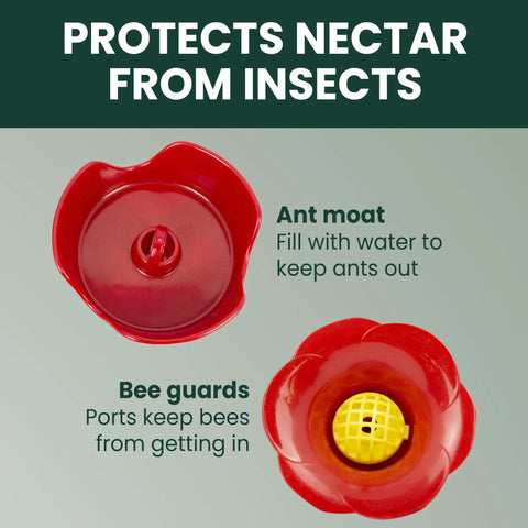 Red bee guard and ant moat for Hummingbird Feeder With Pinch Waist Design No Fuss No Mess Easy Fill And Clean With Bee Guards