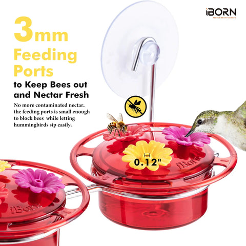 Window Hummingbird Feeder With Strong Suction Cup For Outdoors Bee Proof Feeding Ports And Stainless Steel Base 3Oz Capacity Mini Hummingbird Feeder Ideal For Kitchen Sill Or Patio View 2025 Update, showing red feeder with feeding ports and suction cup