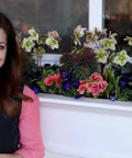 Person standing next to a window box with colorful flowers including pink and white blossoms.