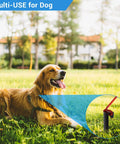Dog lying on grass with Metal Landscape Edging Stakes Kit with Twenty Pieces Eight and a Half Inch Garden Anchors in background.