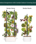 Indoor Seed Germination And Hydroponic Growing Kit For Easy No Fuss Home Gardens with vertical planters and greens