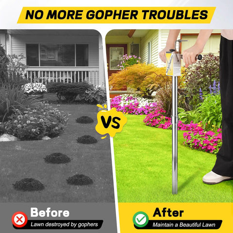 Before and after using Stainless Steel Gopher And Mole Bait Applicator For Lawns And Yards, illustrating lawn improvement.