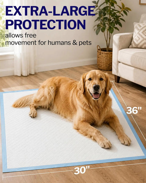 Top Shelf Heavy Duty Disposable Bed Pads 36 By 30 Inch with quilted surface, featuring a golden retriever on the pad.