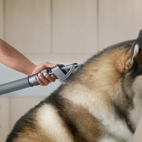 Person using Groom Tool For Upright Vacuums That Makes Pet Hair Cleanup A Breeze With Fine Bristles on a large dog's fur.