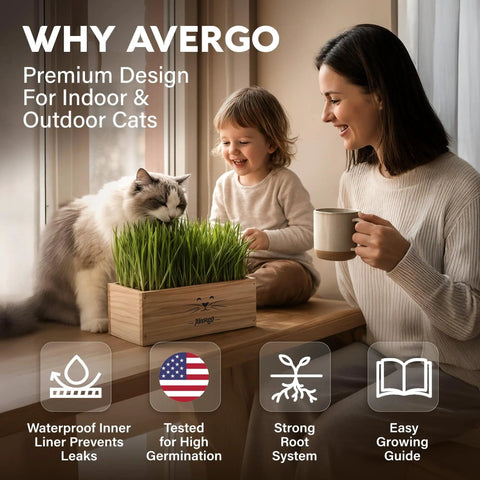 Indoor Cat Grass Kit With Four Seed Packets, Wooden Planter, Coconut Coir Soil Discs, And Mini Tools on table with cat