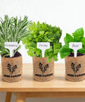 Three herb plants in burlap planter bags labeled rosemary, parsley, and basil, part of the Five Herb Indoor Starter Kit For Kitchen Garden Complete Planting Set With Planter Bags, Markers, Soil Disks, Mini Shears, And Quick Guide For Easy Beginner Growers To Start A Fresh Indoor Herb Garden.