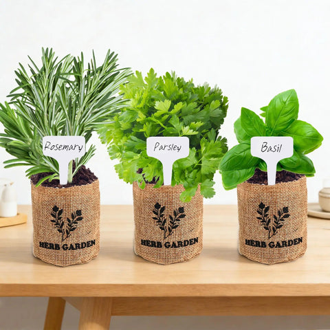 Three herb plants in burlap planter bags labeled rosemary, parsley, and basil, part of the Five Herb Indoor Starter Kit For Kitchen Garden Complete Planting Set With Planter Bags, Markers, Soil Disks, Mini Shears, And Quick Guide For Easy Beginner Growers To Start A Fresh Indoor Herb Garden.