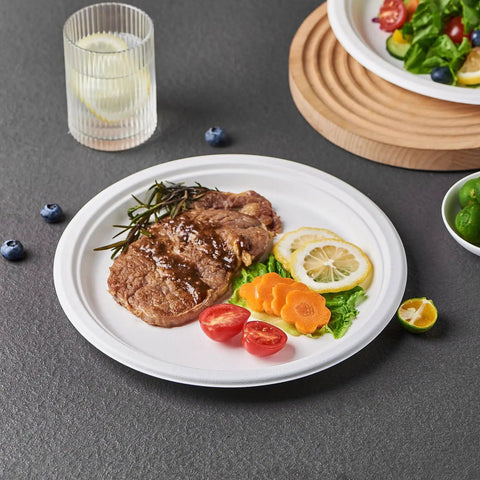 Heavy Duty 150 Count 10 Inch Paper Plates Made From Sugarcane Bagasse White Unbleached Compostable Dinner Plates No Plastic Lining
