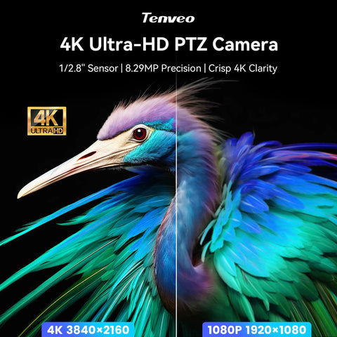 Comparison of 4K Ultra-HD and 1080p resolution displayed using colorful bird, showcasing 4K AI Auto Tracking PTZ Camera with 3X Optical Zoom.