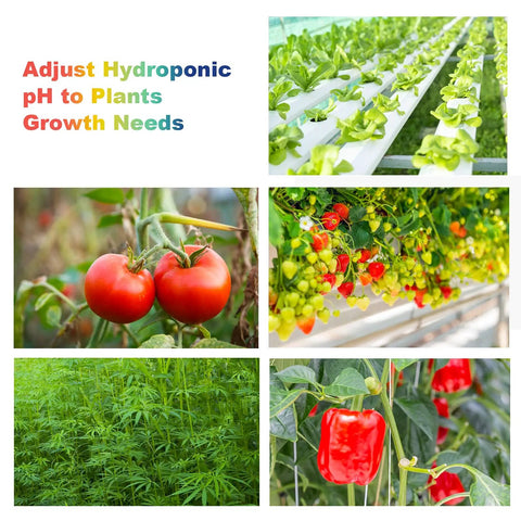 PH Up and Down Control Kit with 9oz and 9oz Buffer Solutions for Hydroponics, shown with various plants in hydroponic setups.