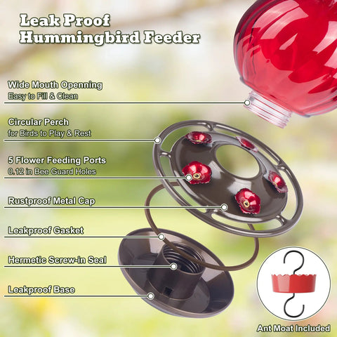 Hummingbird Feeder Glass 26 Ounces Outdoor Hanging With Ant Moat 5 Flower Ports Rustproof And Leakproof Netted Flower Bud Bottle Red US Patent Design Keeps Bees And Ants Out For Real